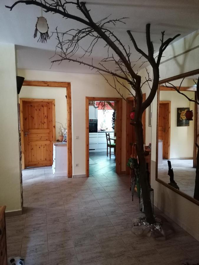 Monteurunterkunft Maria Freital Esterno foto